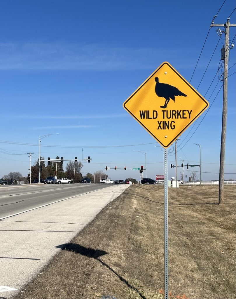 Wild turkey xing sign